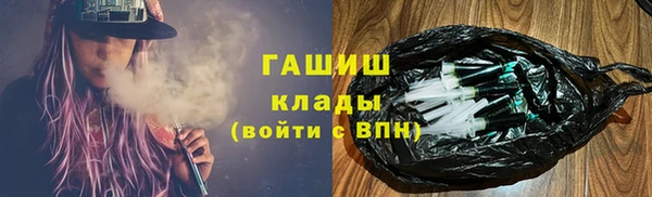 гидра Богородск