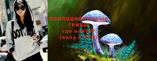меф Богородицк