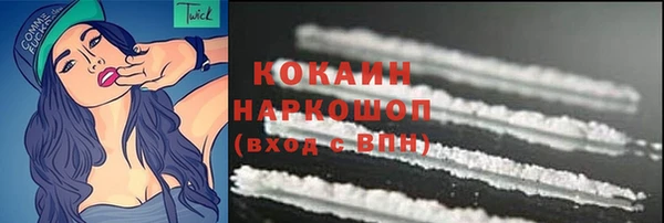 гидра Богородск