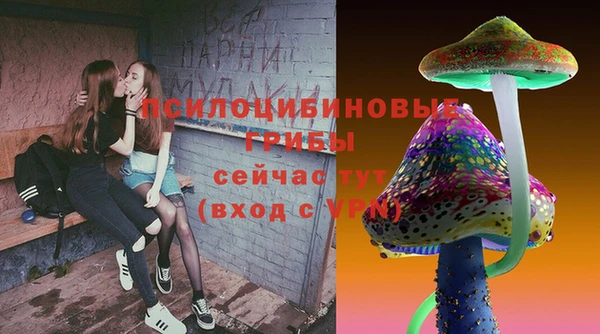 меф Богородицк