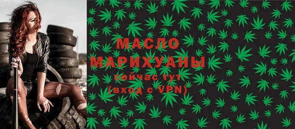 гидра Богородск