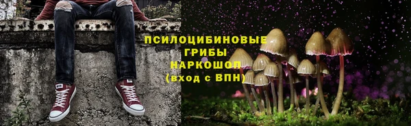 гидра Богородск