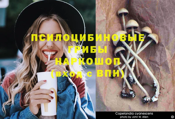 мдма Богданович