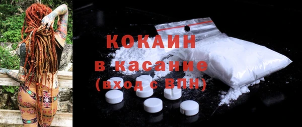 гидра Богородск