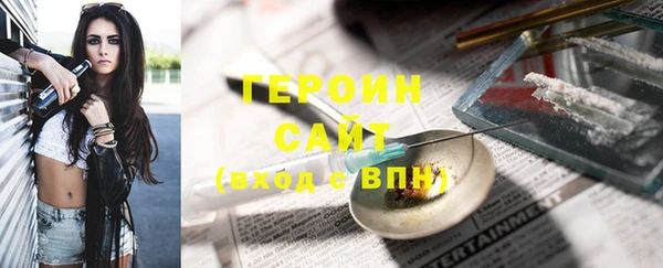 гидра Богородск